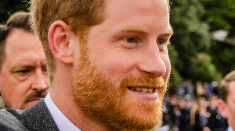 Prince Harry poses jokingly 