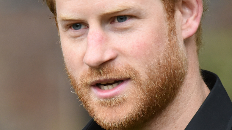 Prince Harry posing 