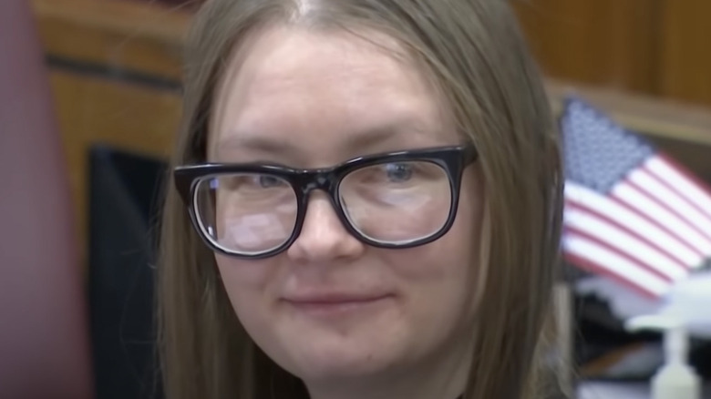 Anna Delvey in court