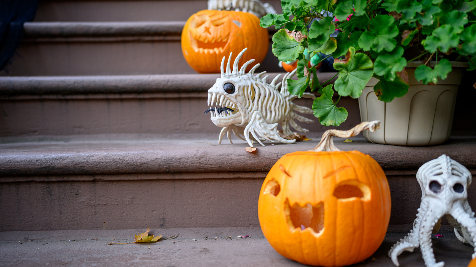 <a href="https://www.thelist.com/2287386/pittsburgh-woman-giant-halloween-display-pure-nostalgia/" target="_blank">Forget The 12-Foot Skeletons: This Pittsburgh Woman’s Giant Halloween Display Is Pure Nostalgia</a>