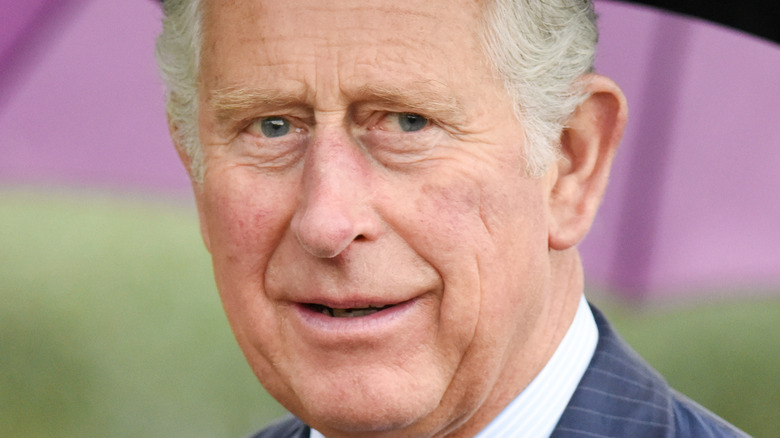 Prince Charles looking into the camera 