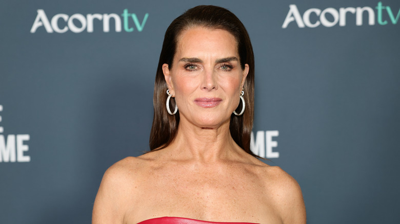 Brooke Shields posing on red carpet