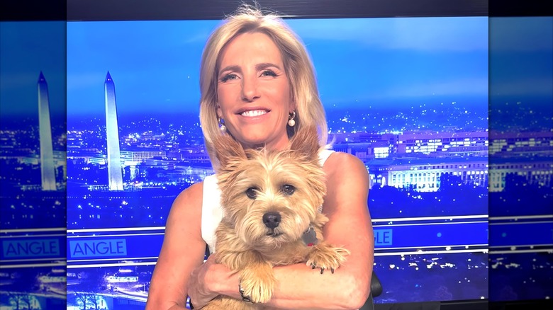 Laura Ingraham wearing fake tan and holding her dog