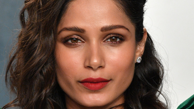 Freida Pinto poses on the red carpet