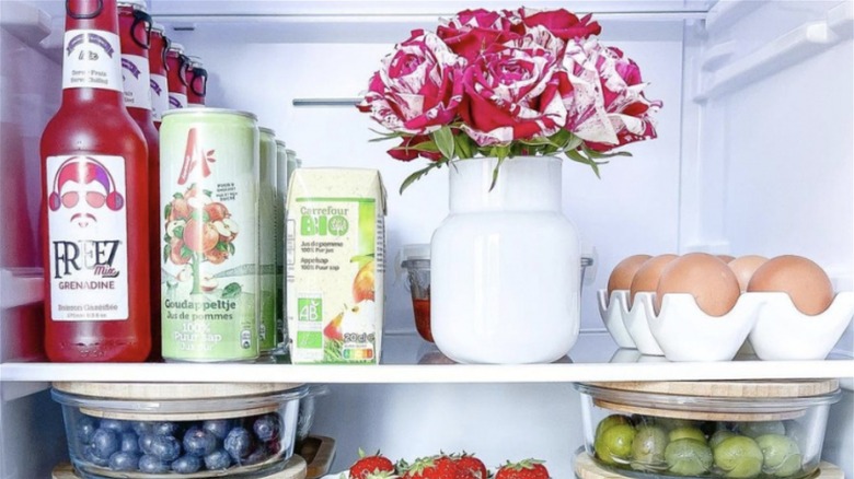 The interior of a fridge