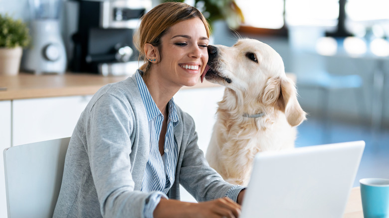 Dog licking smiling woman's face