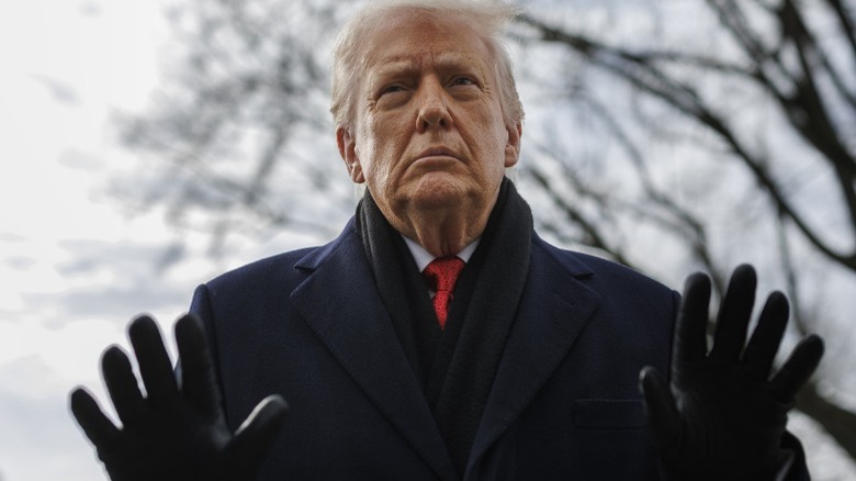 Donald Trump speaks to reporters on the South Lawn of the White House in Washington, DC (2026)