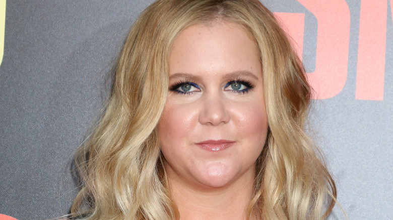 Amy Schumer posing