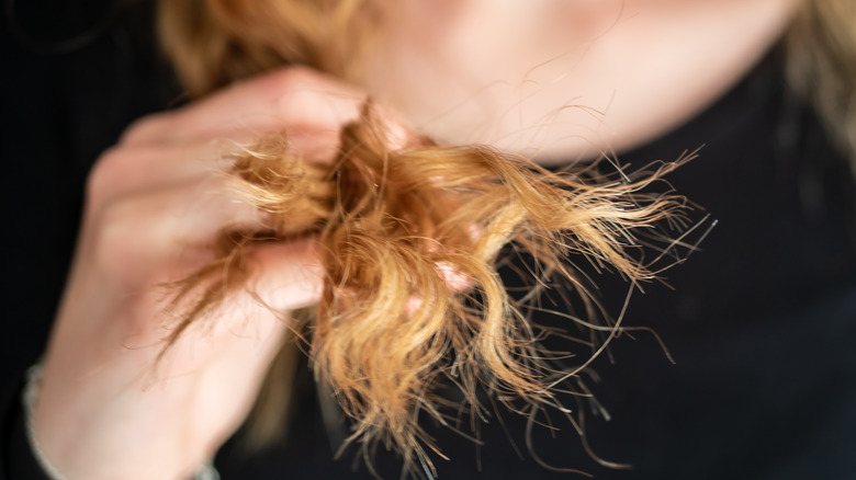 Woman showing off split ends