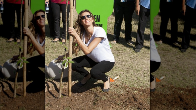 Gisele Bündchen planting a tree in Brazil in 2012