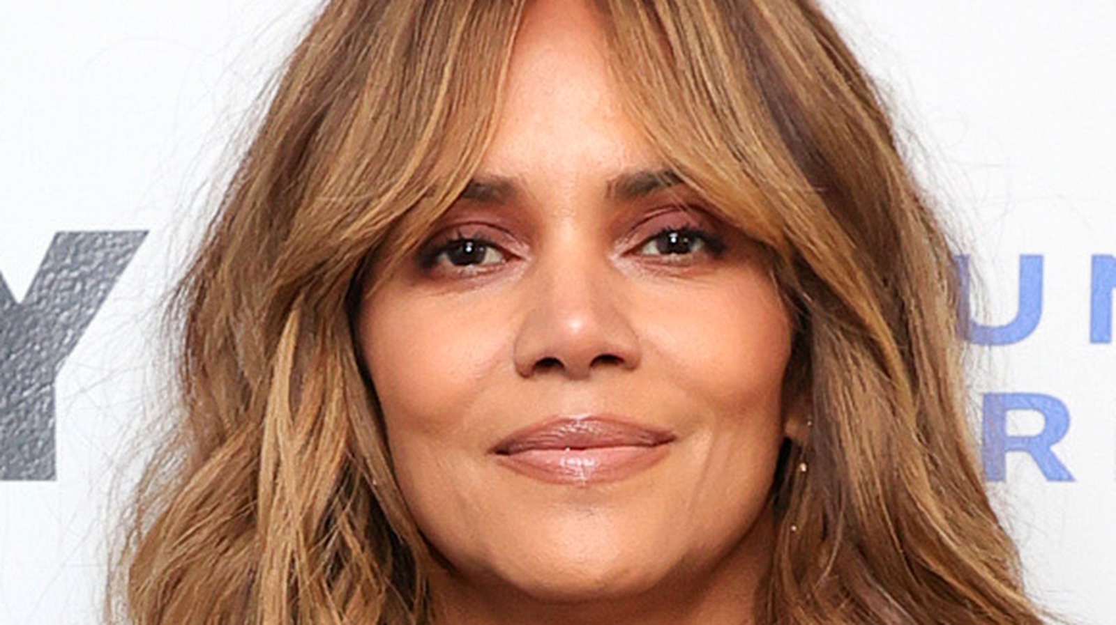 Halle Berry's Brunette Look That Fans Envy Halle Berry's Brunette Look That Fans Envy