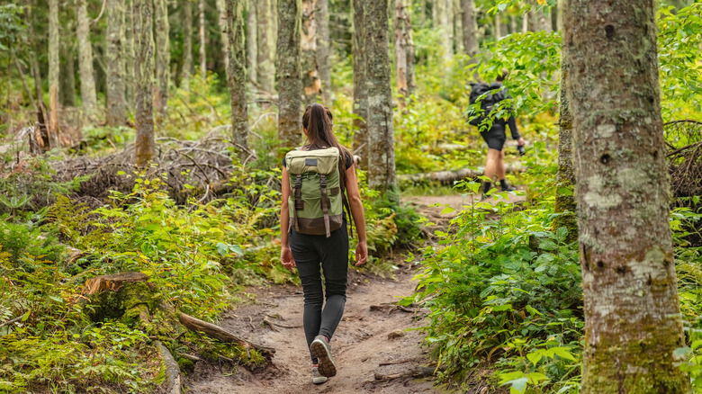 Two people hiking in the woods