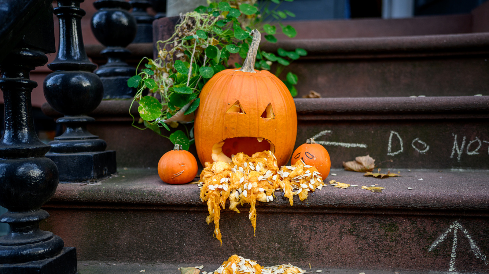 Halloween Decoration Goes Viral For All The Wrong Reasons. Creator Swears It's Not What You Think