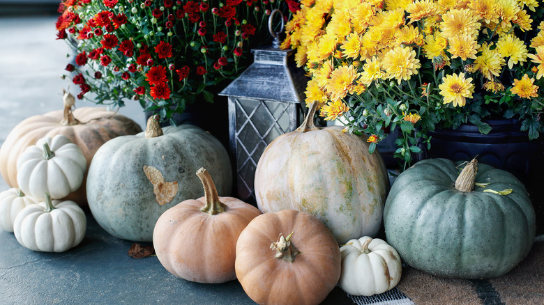 Pumpkin display with mums