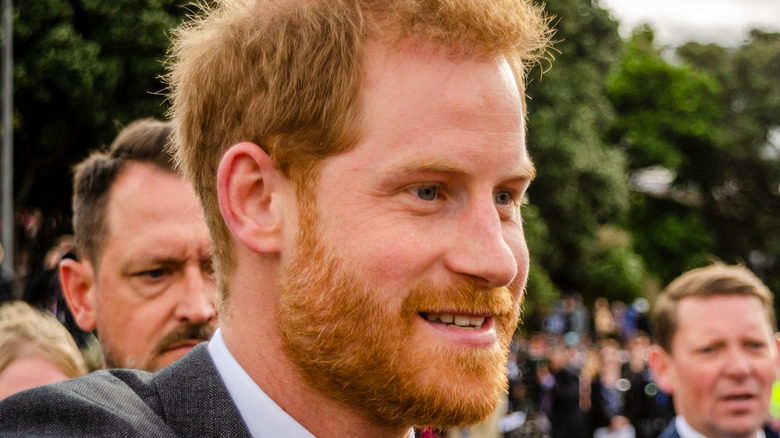 Prince Harry shaking hands  