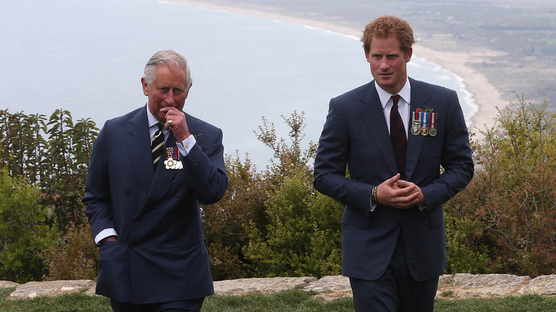 King Charles and Prince Harry during a 2015 visit to Turkey