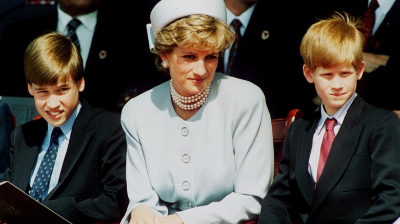 Prince William, Princess Diana, and Prince Harry sitting in audience
