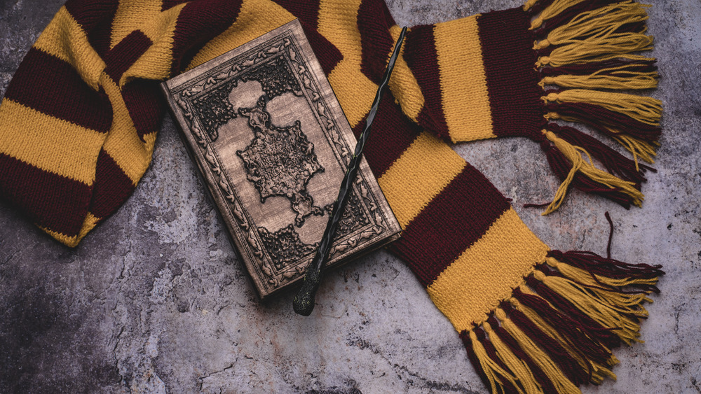 A Gryffindor scarf, wand, and spellbook 