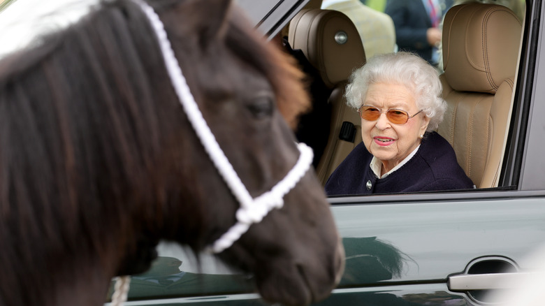 Queen Elizabeth looking at a horse at the Royal Windsor Horse Show