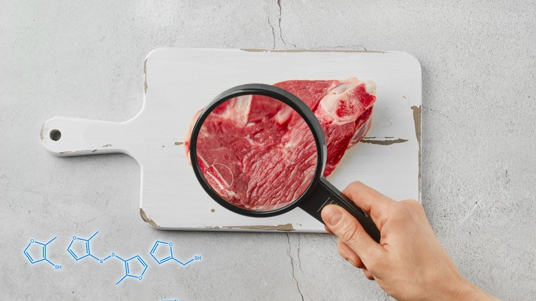 magnifying glass over meat