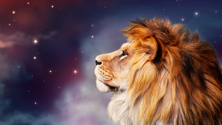 Leo lion zodiac