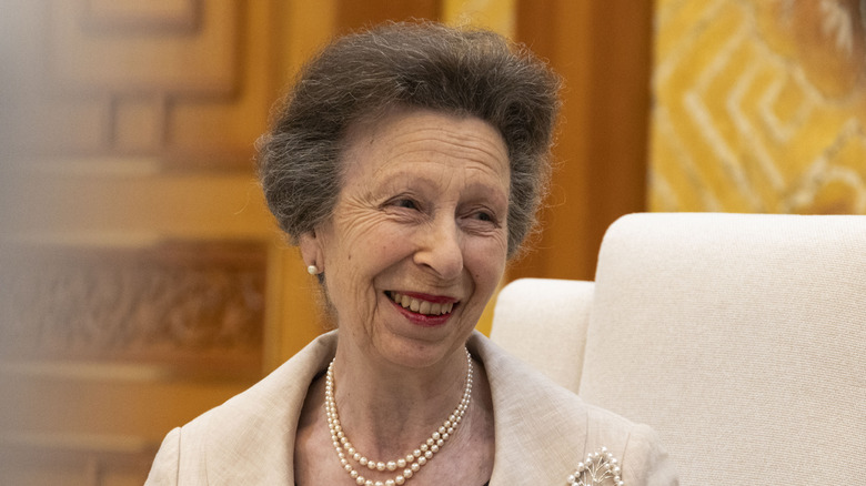 Princess Anne smiling during a meeting in July 2026