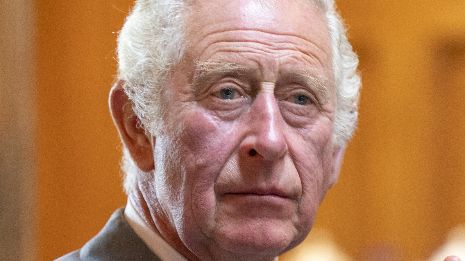 Here's How King Charles III Is Expected To Change The Monarchy