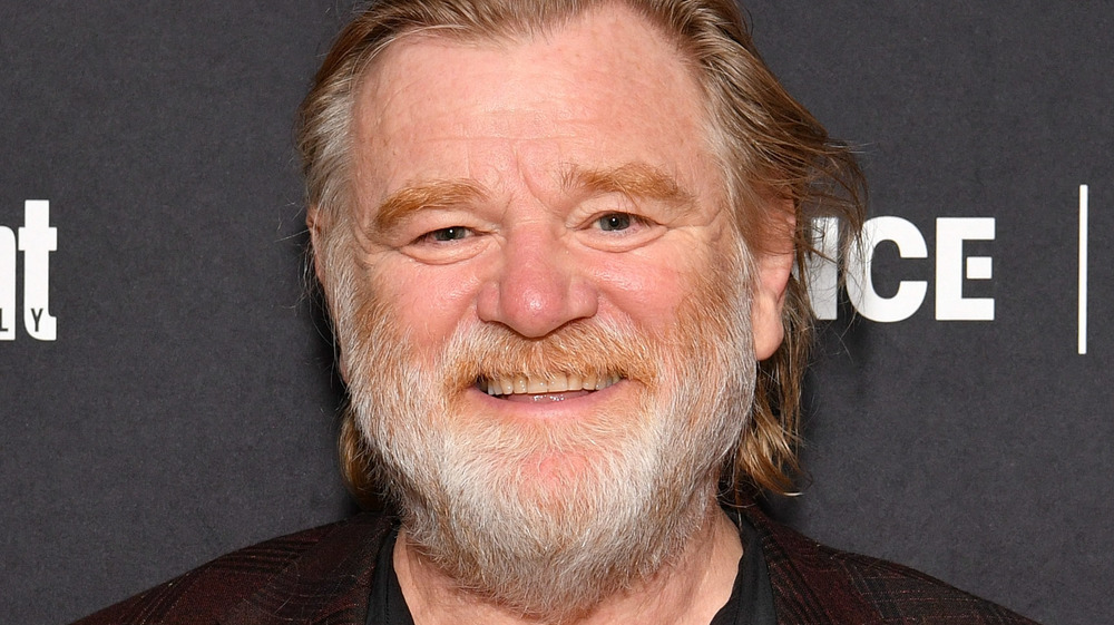 Brendan Gleeson smiles at an event