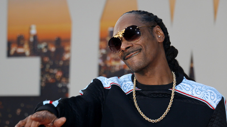 snoop dogg 2018 net worth