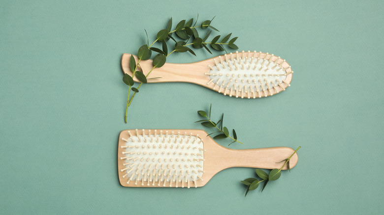 hairbrush on green background