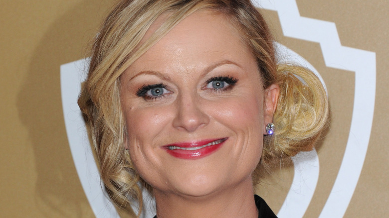 Amy Poehler smiling 