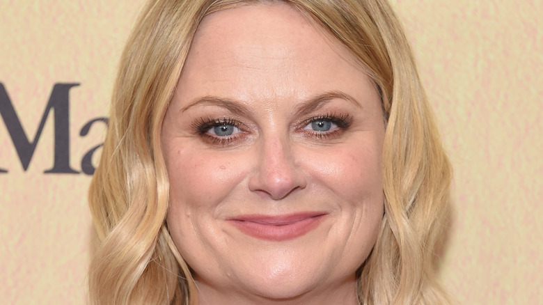 Amy Poehler smiling 