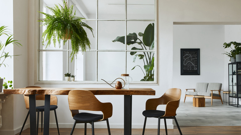 plants in an office