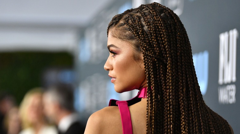 Zendaya sporting a full set of braids