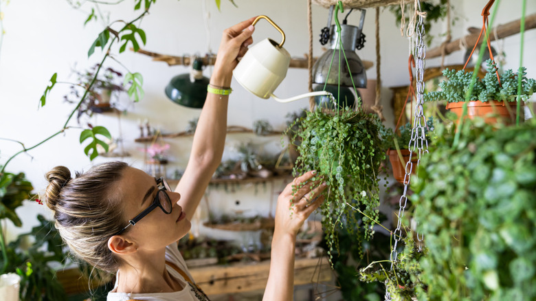 Woman watering her plants