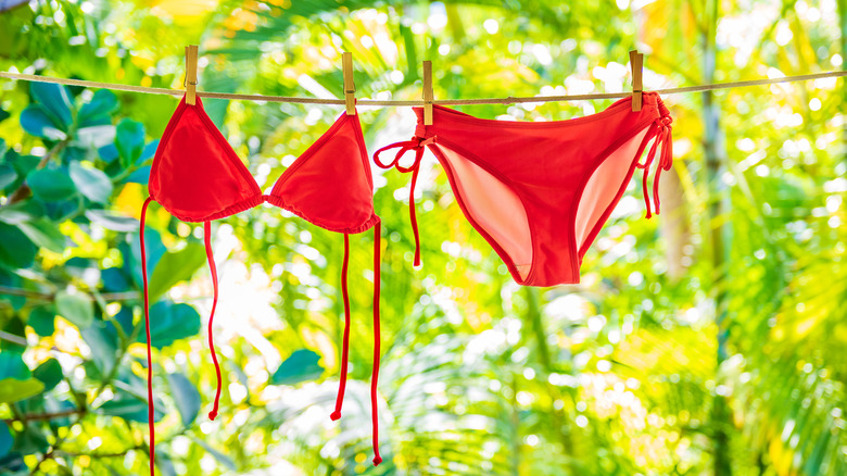 Red bikini on a clothing line