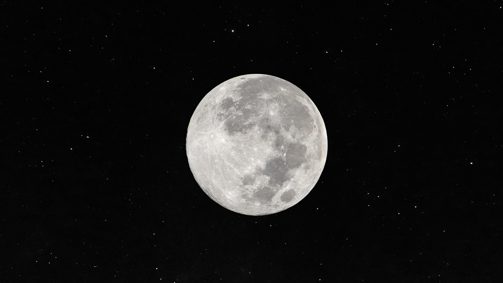 Wolf full moon against the black night sky