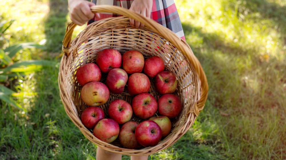 Apple nurtition