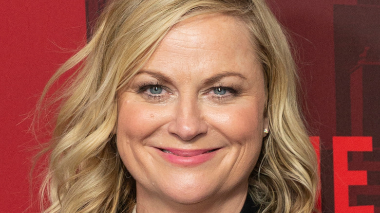 Amy Poehler poses at an event