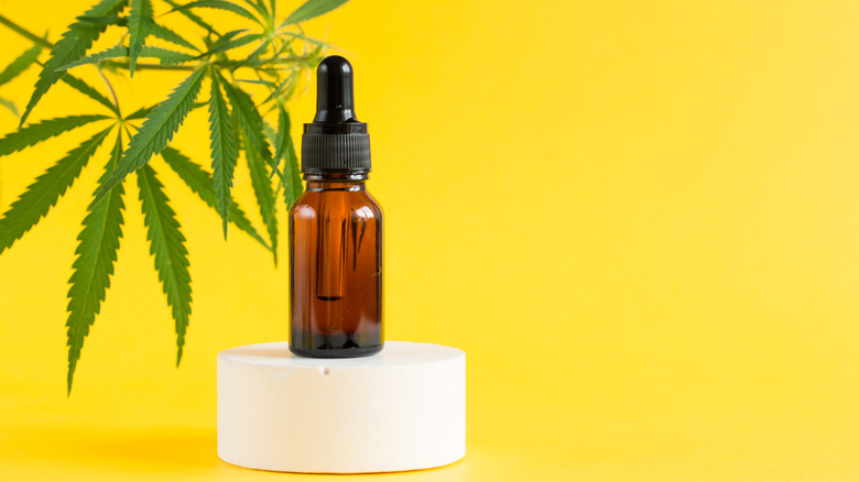 CBD oil bottle with marijuana plant