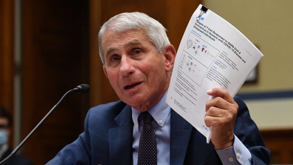 Anthony Fauci in Congress