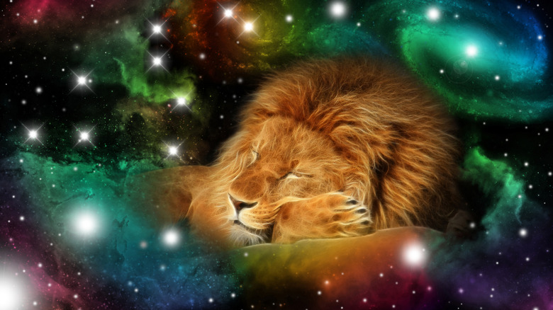 leo zodiac lion 
