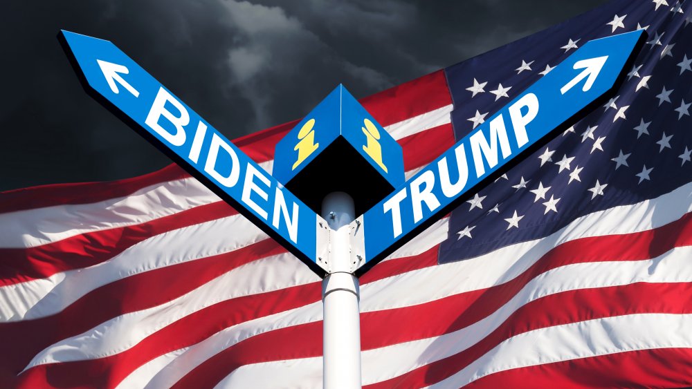 Biden and Trump signs