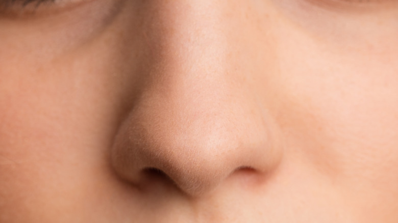 nose closeup