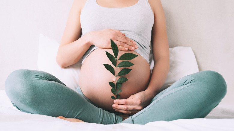 A pregnant woman holding eucalyptus leaves by her belly