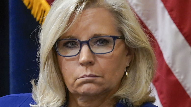 Liz Cheney at the House Select  Committee meeting