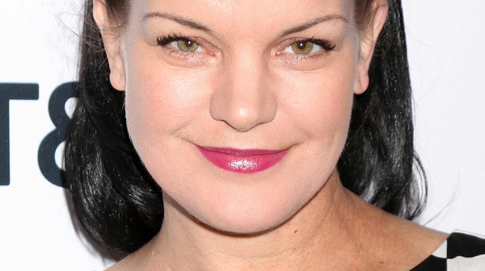 Here's What Pauley Perrette's Net Worth Really Is