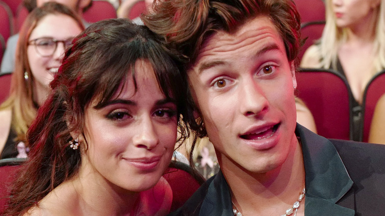 Shawn Mendes and Camila Cabello together 
