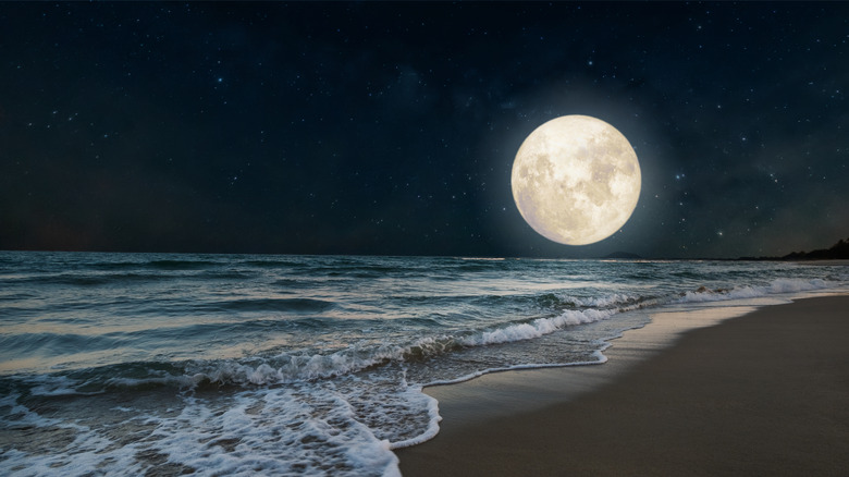 A full moon over a beach.