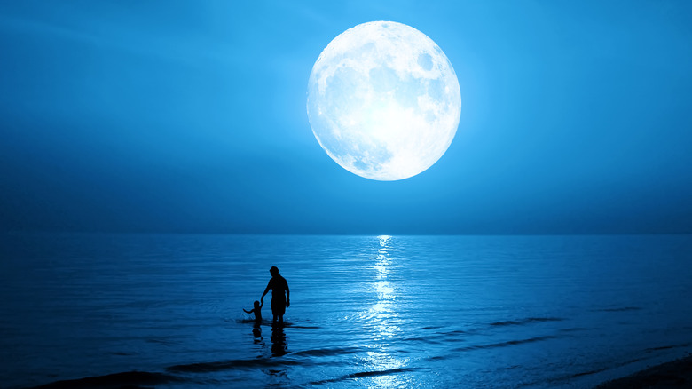 Full moon in sky above water